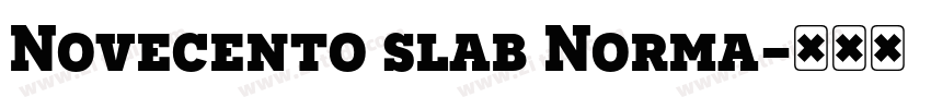 Novecento slab Norma字体转换